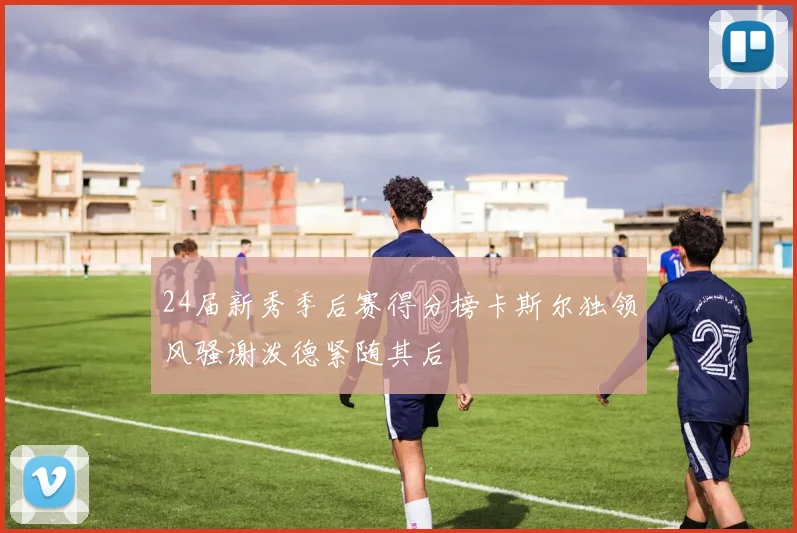 24届新秀季后赛得分榜卡斯尔独领风骚谢泼德紧随其后