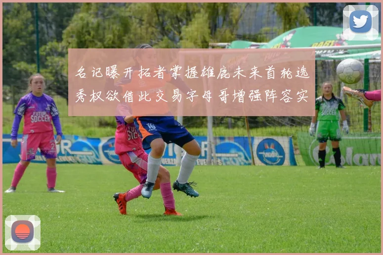 名记曝开拓者掌握雄鹿未来首轮选秀权欲借此交易字母哥增强阵容实力